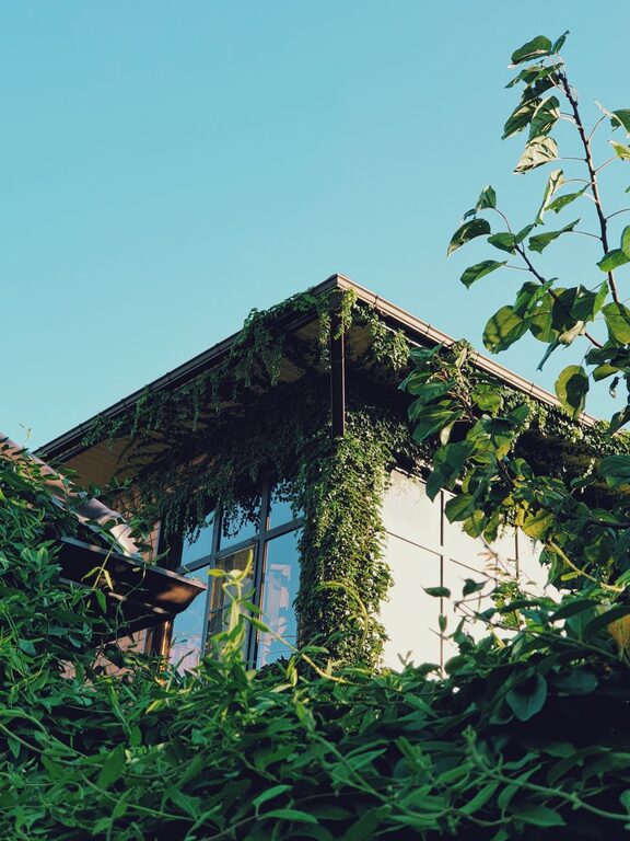 Practical Tips for Sustainable Living in Everyday Life